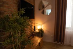 Appartements Studio coeur de ville sanary tres cosy parking : photos des chambres