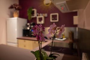 Appartements Studio coeur de ville sanary tres cosy parking : photos des chambres