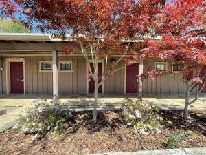 Mountain Harbor King Guest Room on Lake Ouachita