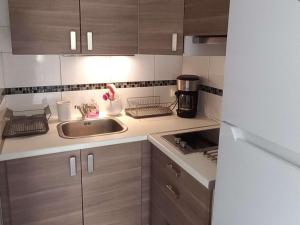 Appartement 2 pièces accès direct plage, animaux acceptés, parking - FR-1-387-193