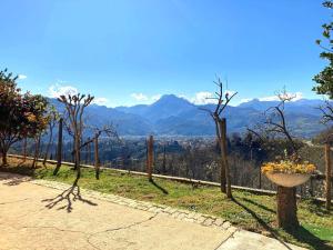 Holiday Home in Tuscany with Scenic Views