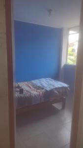 flying monkey hostel