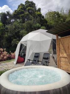 Colibamboo Domo Glamping