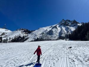 Chalets Chalet des Monts Dore : photos des chambres