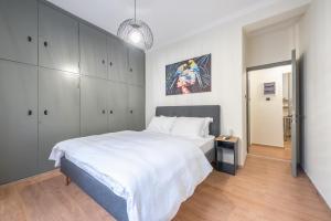 Athens center spacious apartment