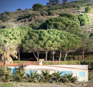 Appartements Vue mer, crique de Peyrefite, Cerbere-Banyuls. : photos des chambres