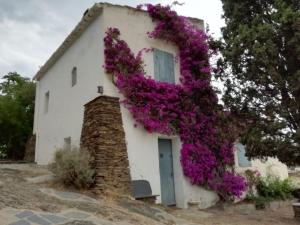 Appartements Vue mer, crique de Peyrefite, Cerbere-Banyuls. : photos des chambres