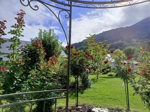 Appartements Le balcon des cimes : photos des chambres