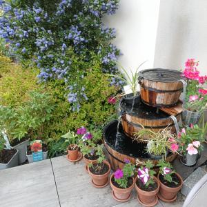 Appartements Le balcon des cimes : photos des chambres