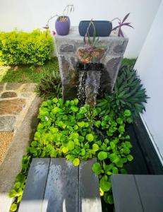 Villa Grain de café, 4 chambres piscine accès plage