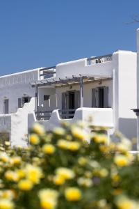 Apartment room in The Nine Graces - Agia Anna