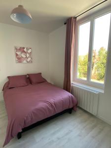 Appartements Pink Cosy : Appartement 1 Chambre