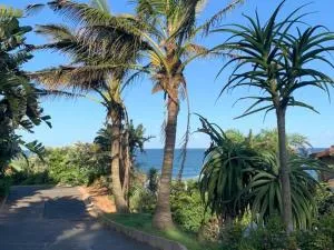 The Dolphins Hive - Blythedale