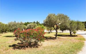 Maisons de vacances Cozy Home In Sablet With Wifi : photos des chambres