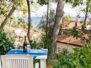 Apartments Villa Pelegrin