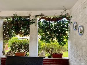 Residenza Palmira Bardolino