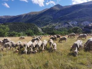 B&B / Chambres d'hotes La Peyregoune, logement en pleine nature et table d'hotes : Chambre Double - Vue sur Montagne