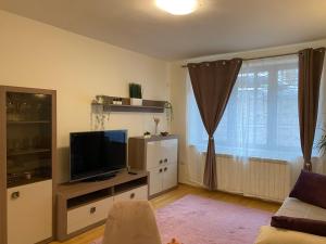 Free parking Downtown Apartment Boutique Green Garden Unirii