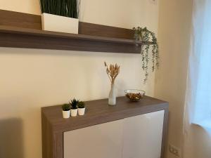 Downtown Apartment Boutique Green Garden Unirii