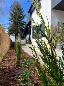 István Vendégház - Zsóryfürdő