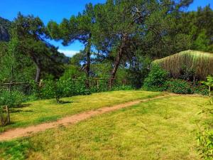 Kidrak Camping NAMASTE