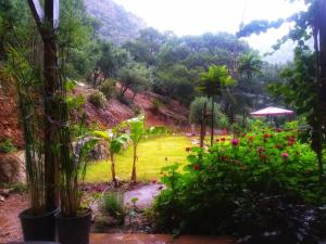 Kidrak Camping NAMASTE