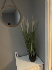 Southend Lane Suites