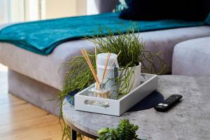 Swanky city centre apartment