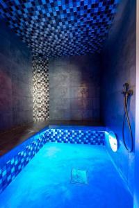 Villas La Cle du Bonheur sauna jacuzzi hammam massages : photos des chambres