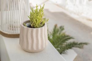 Piperi-2 Bedroom home