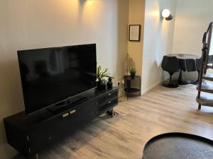 Appartements Duplex Viennois : photos des chambres