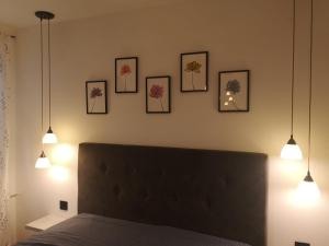 Apartman Darvin Lux