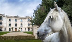 Hotels Domaine de Biar : photos des chambres