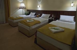 Kamienica Szefferów 1848 r.