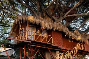 Nido Ecoluxury - Villa San Luis Boutique