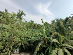 Shree Nivas Home stay