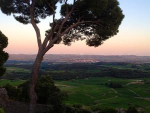 Hotels Mercure Millau : photos des chambres