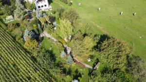 Turistična kmetija Izgoršek