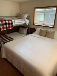 Hartes Desire Cabin - Lake, AC, Arcade +