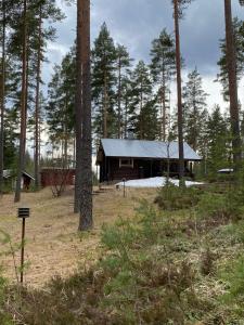 Mökki saunalla mäntymetsässä