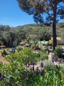 Maisons de vacances Bastide Cigaline : photos des chambres