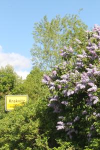 Altes Waschhaus Krakvitz