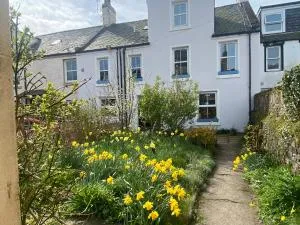 Bamse B&B - Laurencekirk