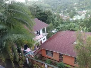 Lushoto views homestays - Mgwashi