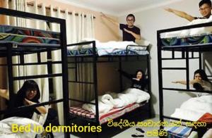 Vibe way (Hostel & Market farm)