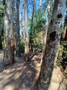 CASA SENDERO DEL RIO