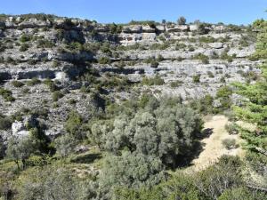 Maisons de vacances Cosy holiday home in Minerve with garden : photos des chambres