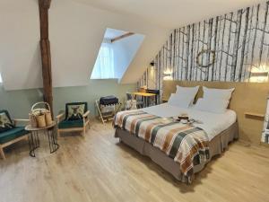 Hotels Logis Hotel du Cygne : photos des chambres