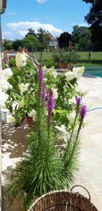 Maisons de vacances Le Clos des Roses : photos des chambres