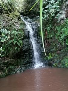 Hospedaje Cabañas El sendero del caracol 5p